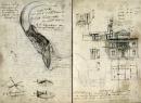 <p>
	Леонардо да Вінчі "Кодекс про політ птахів".<br />
	Сторінки репринту</p>